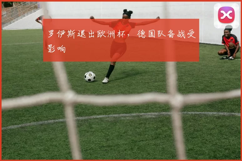 罗伊斯退出欧洲杯，德国队备战受影响