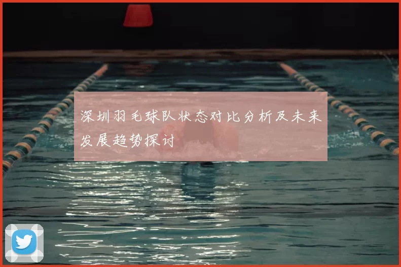 深圳羽毛球队状态对比分析及未来发展趋势探讨