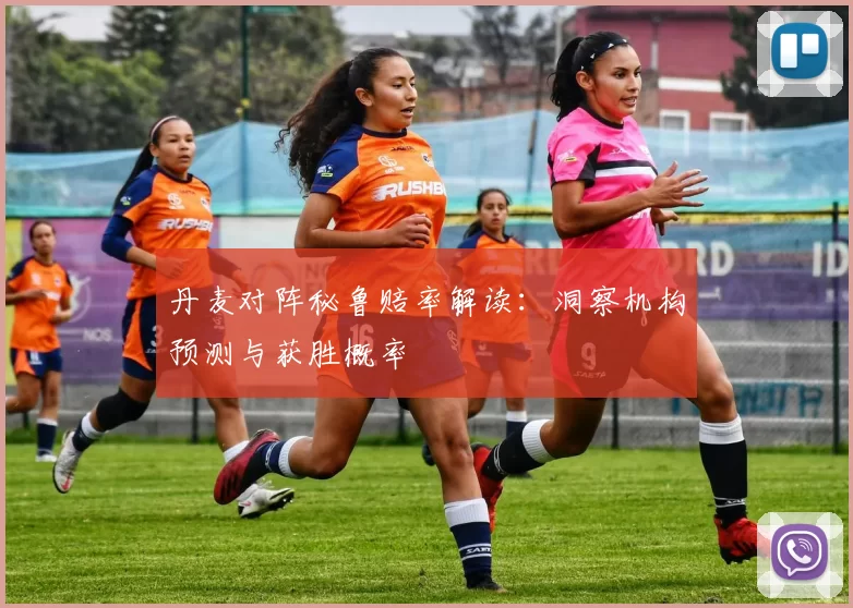 丹麦对阵秘鲁赔率解读:洞察机构预测与获胜概率