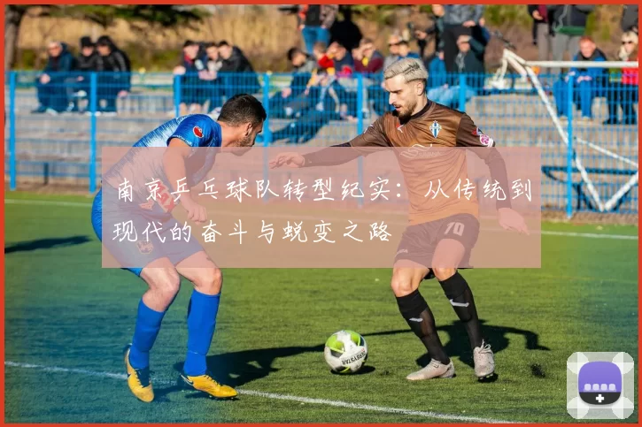 南京乒乓球队转型纪实：从传统到现代的奋斗与蜕变之路