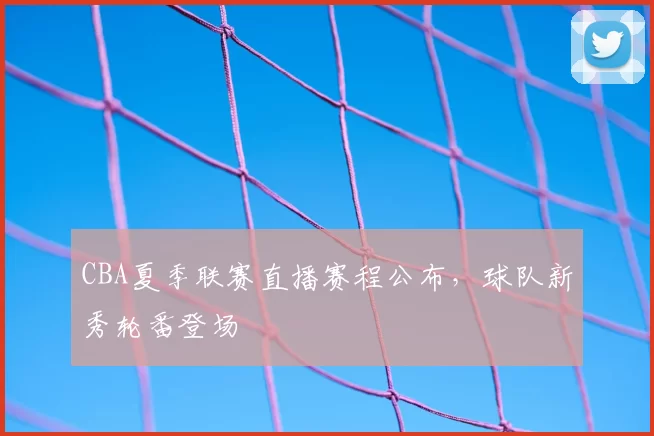 CBA夏季联赛直播赛程公布，球队新秀轮番登场