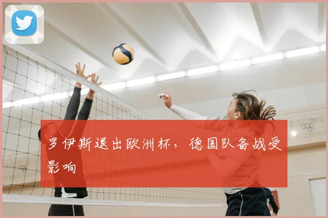 罗伊斯退出欧洲杯,德国队备战受影响