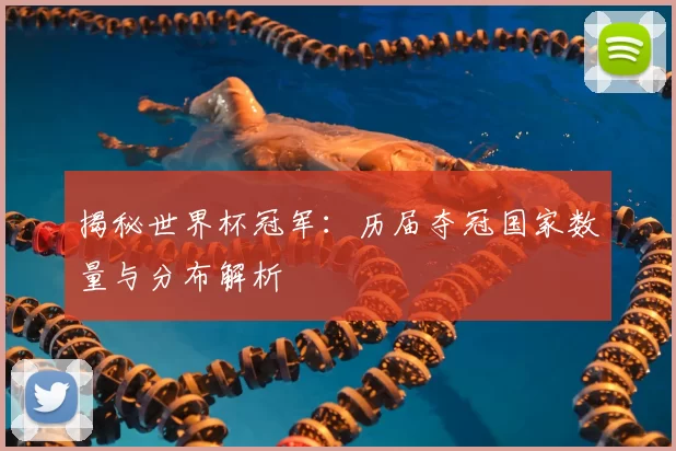 揭秘世界杯冠军：历届夺冠国家数量与分布解析