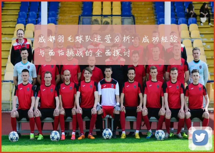 成都羽毛球队运营分析:成功经验与面临挑战的全面探讨