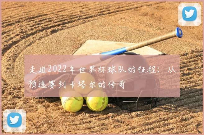 走进2022年世界杯球队的征程:从预选赛到卡塔尔的传奇