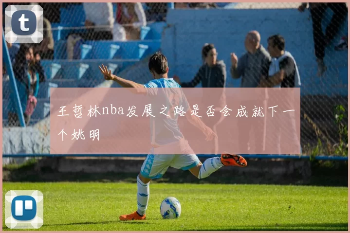 王哲林nba发展之路是否会成就下一个姚明