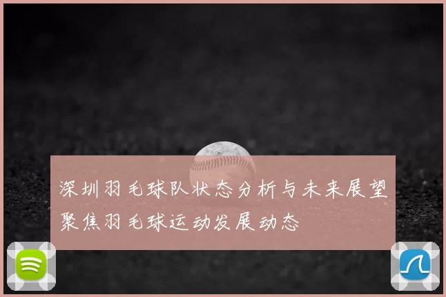 深圳羽毛球队状态分析与未来展望聚焦羽毛球运动发展动态