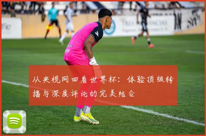 从央视网回看世界杯：体验顶级转播与深度评论的完美结合