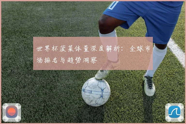 世界杯菠菜体量深度解析：全球市场排名与趋势洞察