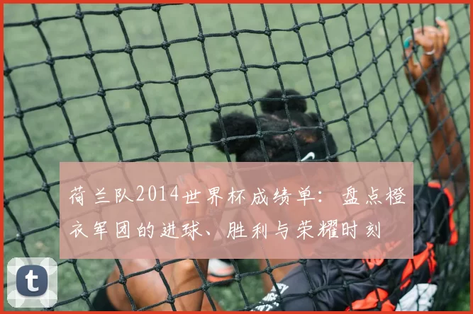 荷兰队2014世界杯成绩单：盘点橙衣军团的进球、胜利与荣耀时刻