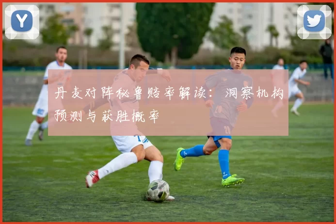 丹麦对阵秘鲁赔率解读:洞察机构预测与获胜概率